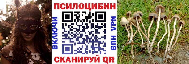 Псилоцибиновые грибы прущие грибы Курлово